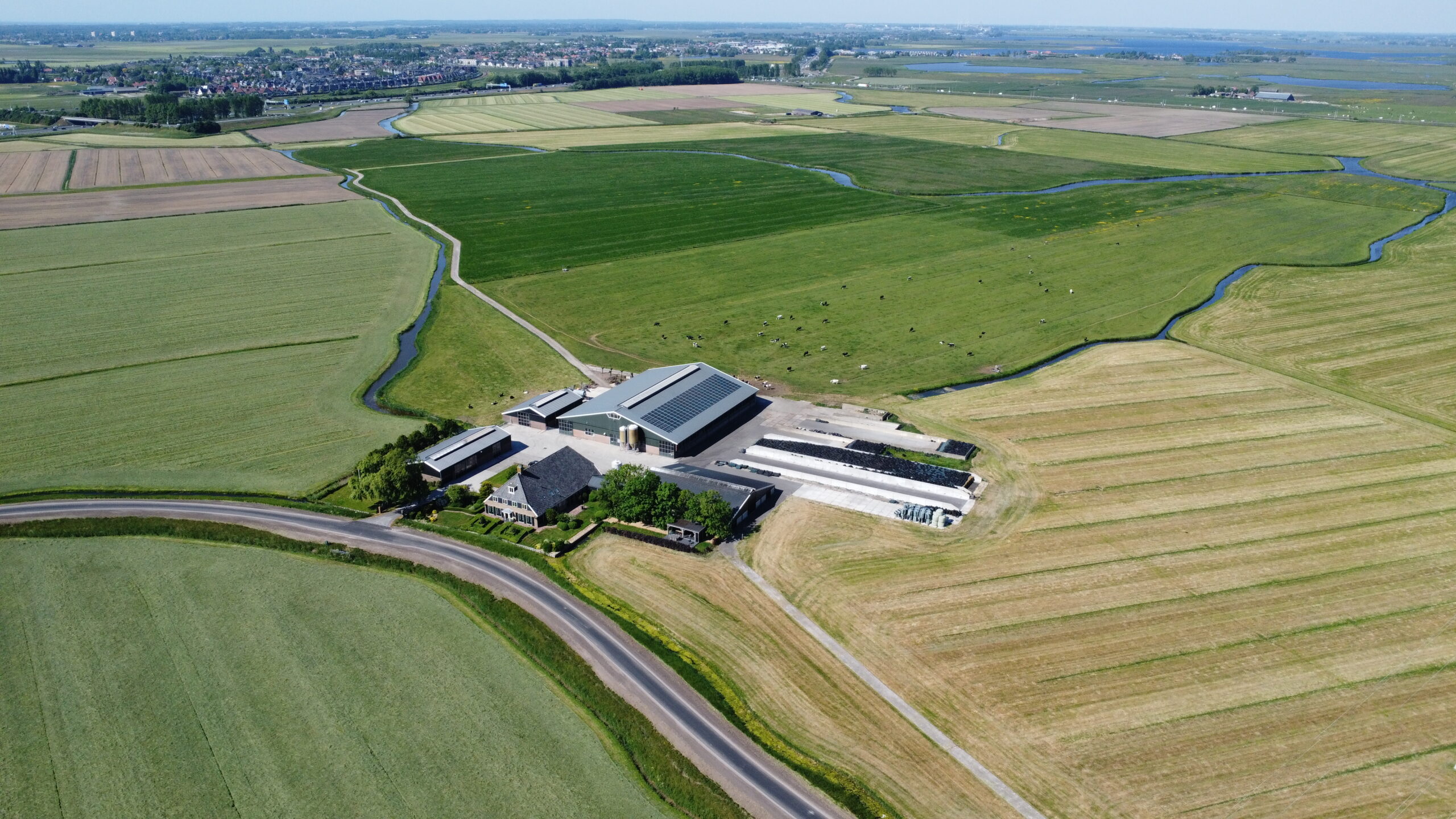 Te koop: Melkveebedrijf Noord-Holland
